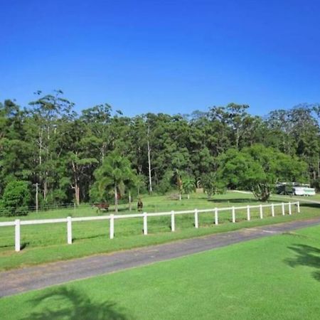 Cabin Country Retreat Paskins Farm Palmwoods Exterior foto